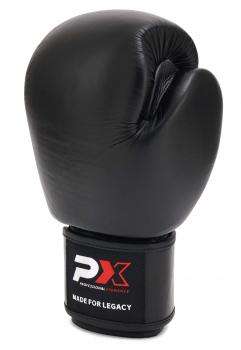 Phoenix Budosport Boxhandschuhe Legacy